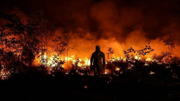 În sud-vestul Franței au reizbucnit incendiile: 6.000 de ha de pădure afectată