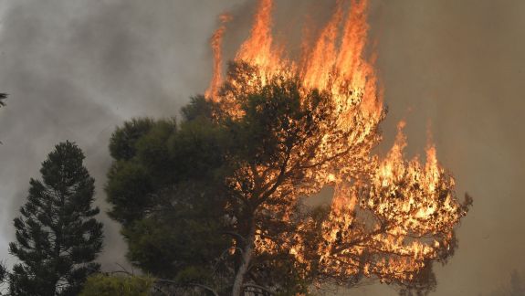 Incendii masive în Liban. Un adolescent a murit în timp ce îi ajuta pe pompieri să lupte cu flăcările