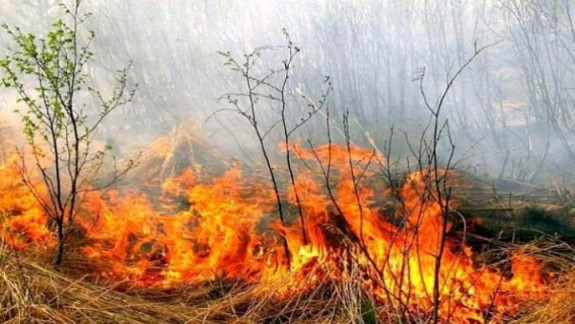 Incendiu pe strada Andrei Doga din capitală. Focul a afectat o suprafață de aproximativ 300 metri pătrați de vegetație uscată (VIDEO)