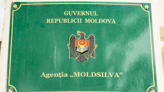 Mai multe cazuri de corupție, identificate la Inspectoratul pentru Protecția Mediului şi Agenția Moldsilva