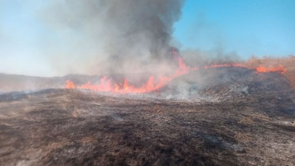 Peste 30 de mii de hectare au fost afectate de incendii în primele trei luni ale anului 2022 (GRAFIC)