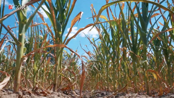 Prima data în istoria observațiilor meteorologice: S-a înregistrat cel mai mare deficit de precipitații în aproape toată țara