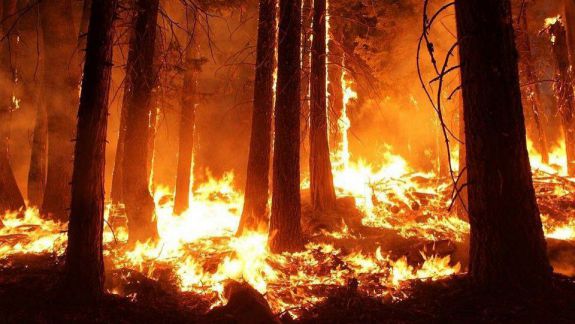 Puternic incendiu de pădure în Letonia