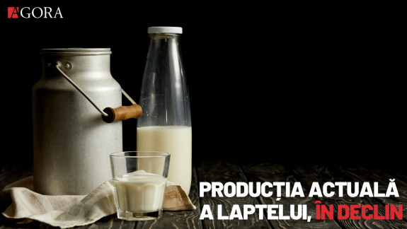 R. Moldova, asigurată în proporție de 46% cu lapte. Ce acțiuni întreprind autoritățile pentru a substitui importurile de produse lactate