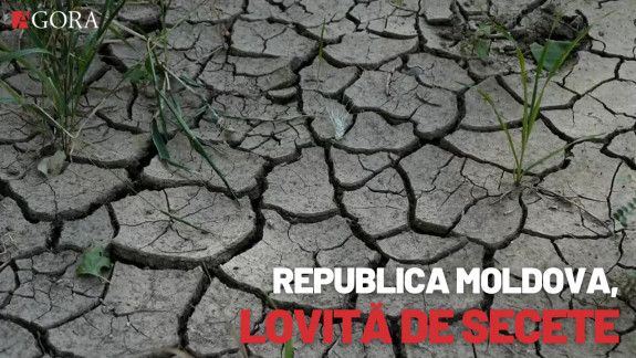 Republica Moldova, lovită de secete: Cum au fost anii lipsiți de ploaie și ce consecințe au avut asupra recoltei (CARDURI)