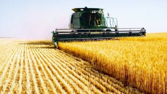 Schema furtului de cereale: Inspectoratul General al Poliției le spune agricultorilor cum să nu cadă în plasa infractorilor