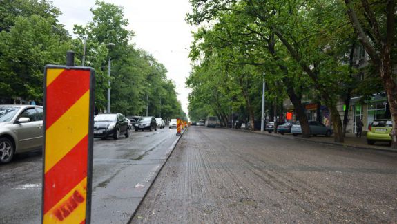„Spații verzi” anunță despre defrișarea a peste 250 de arbori de-a lungul bulevardului Ștefan cel Mare