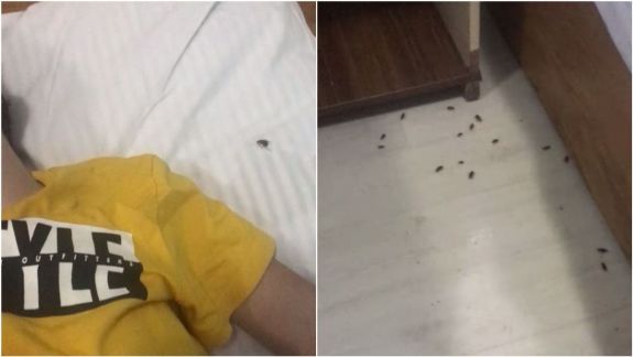 Spitalul din Bălți, cu gândaci în secția pentru copii, a primit finanțări de peste 18 mil. de lei în ultimii doi ani. Când a fost ultimul control epidemiologic