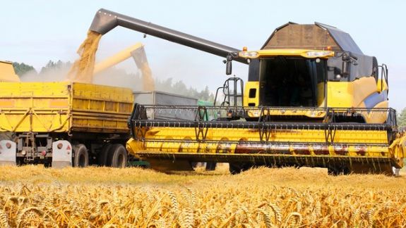 Tensiunile dintre Rusia şi Ucraina scumpesc grâul pe piaţa mondială