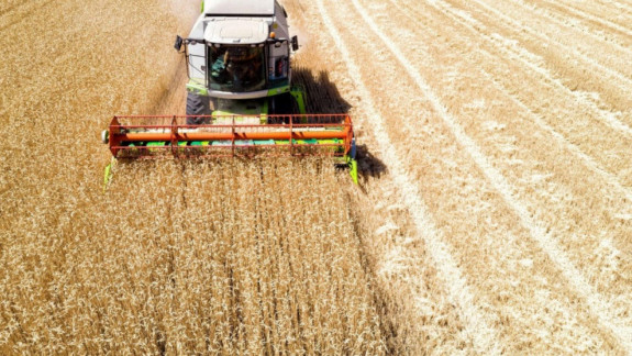 Ucraina, Rusia și Turcia convin să înființeze un centru comun de coordonare pentru a permite exporturile de cereale