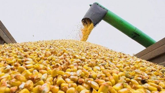 Ucraina susține că Rusia a luat 400.000 de tone de cereale din teritoriile ocupate
