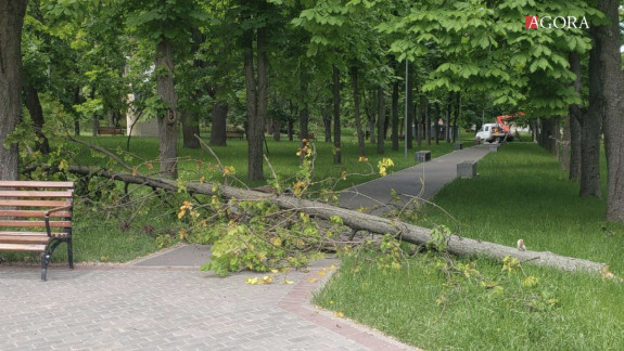 Un maistru de defrișare din cadrul „Spații Verzi”, recunoscut în calitate de bănuit pe cazul decesului fetiței de un an, produs în Parcul „Alunelul”