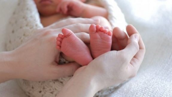 Nou-născut, găsit în viță de vie. Mama bebelușului a fost identificată de poliție (FOTO)