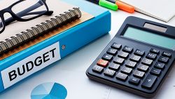 Amendamente propuse de opoziție la legea bugetului 2022: Mai mult de jumătate din primării care au solicitat bani, cu edili ai BCS