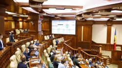 Edificarea construcțiilor capitale în zonele spațiilor verzi ar putea fi interzisă