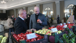 În 2022, fructele din R. Moldova au ajuns în 30 de state. Ministrul Agriculturii: „Vom continua să identificăm noi piețe de desfacere”