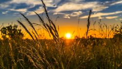 Vreme caniculară în weekend. Începând de luni, temperaturile vor scădea până la 23 de grade Celsius