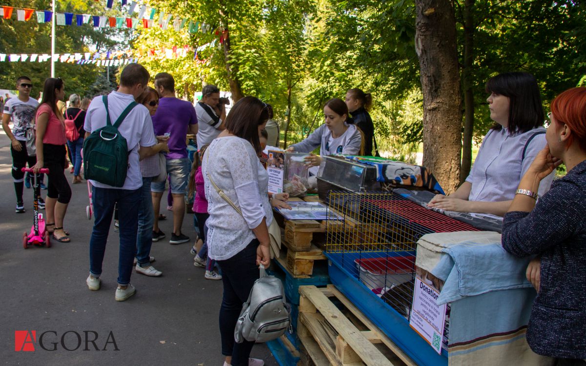 Au venit să-și ia acasă un nou prieten. Festivalul animalelor fără adăpost, organizat în premieră în R. Moldova (GALERIE FOTO)