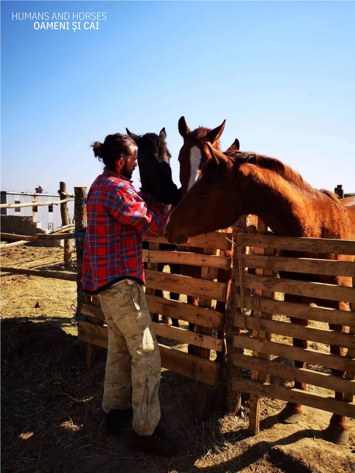 #prieteniiAGORA | Valeriu Istrati: „Visul meu îndepărtat e să redăm sălbăticia cailor”. Despre conexiunea cu natura și implicare (FOTO)