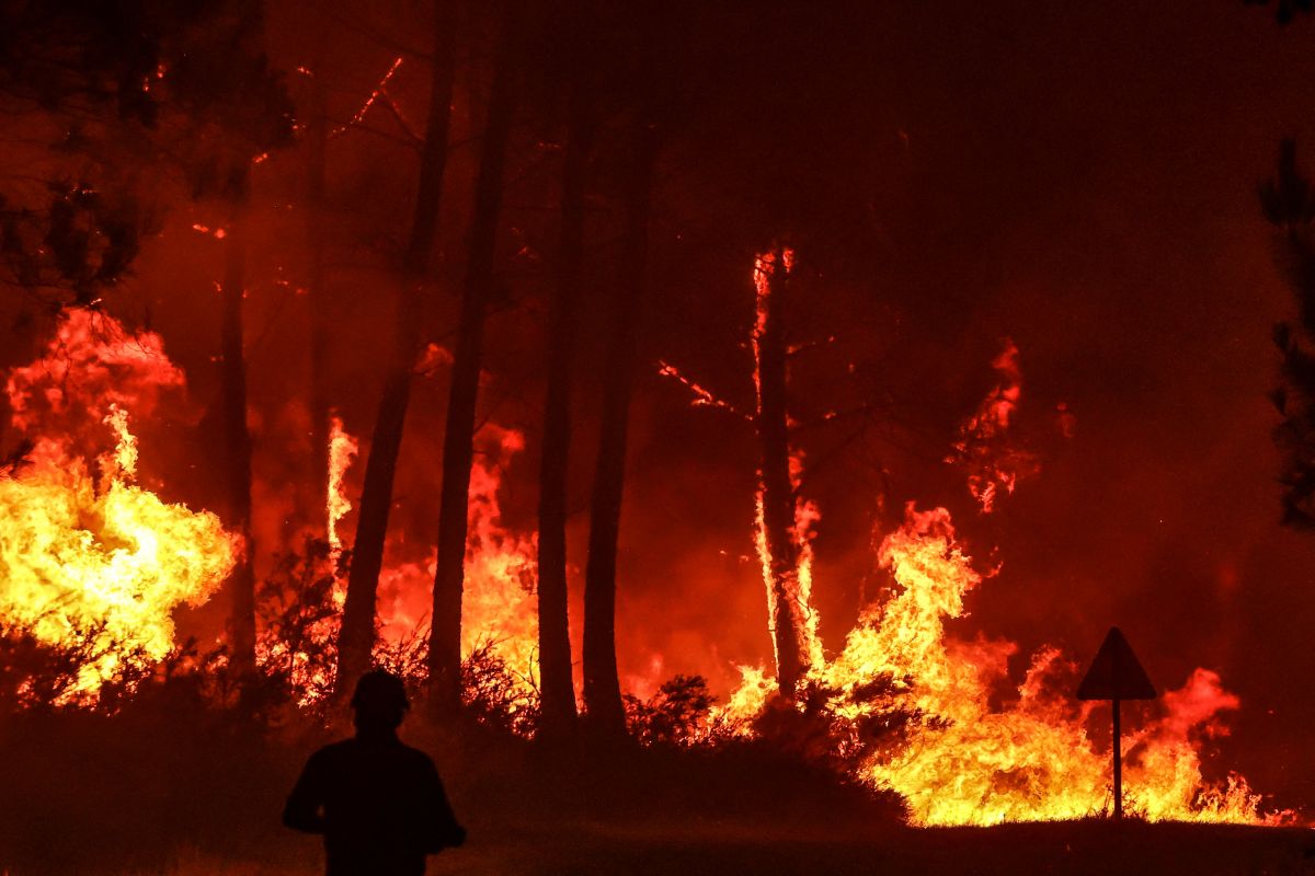 Incendiile de vegetaţie fac ravagii în Franţa: Au intervenit echipaje de pompieri din diferite țări (GALERIE FOTO)