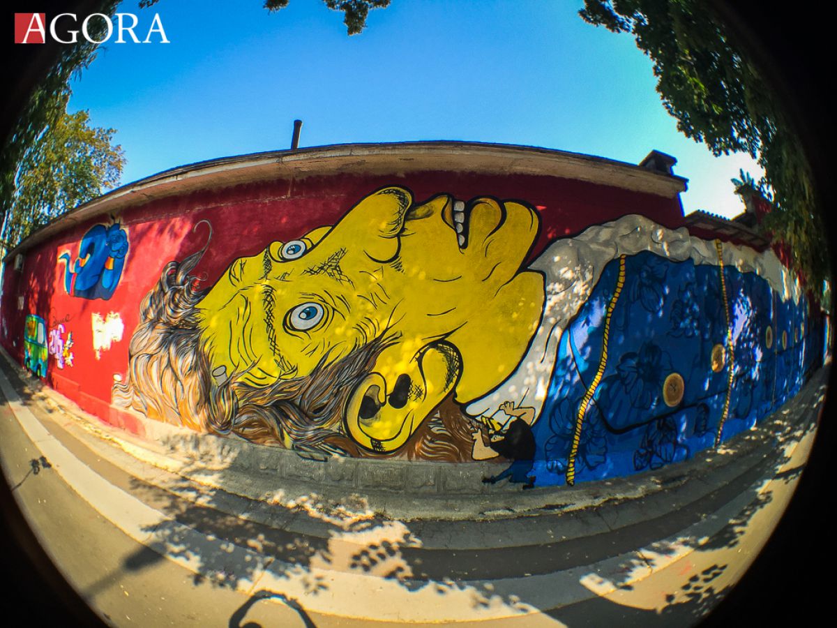 GALERIE FOTO. Un graffiti cât un cartier. Personajele din desene animate și-au „dat întâlnire” la stadionul Dinamo