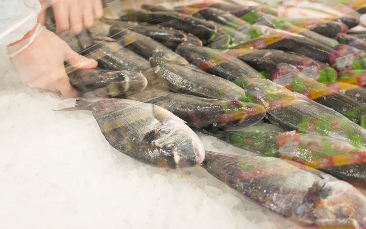 Principalul furnizor de pește al Casei Regale din România a ajuns și la Orhei: Ocean Fish aduce pește de calitate din toate oceanele lumii
