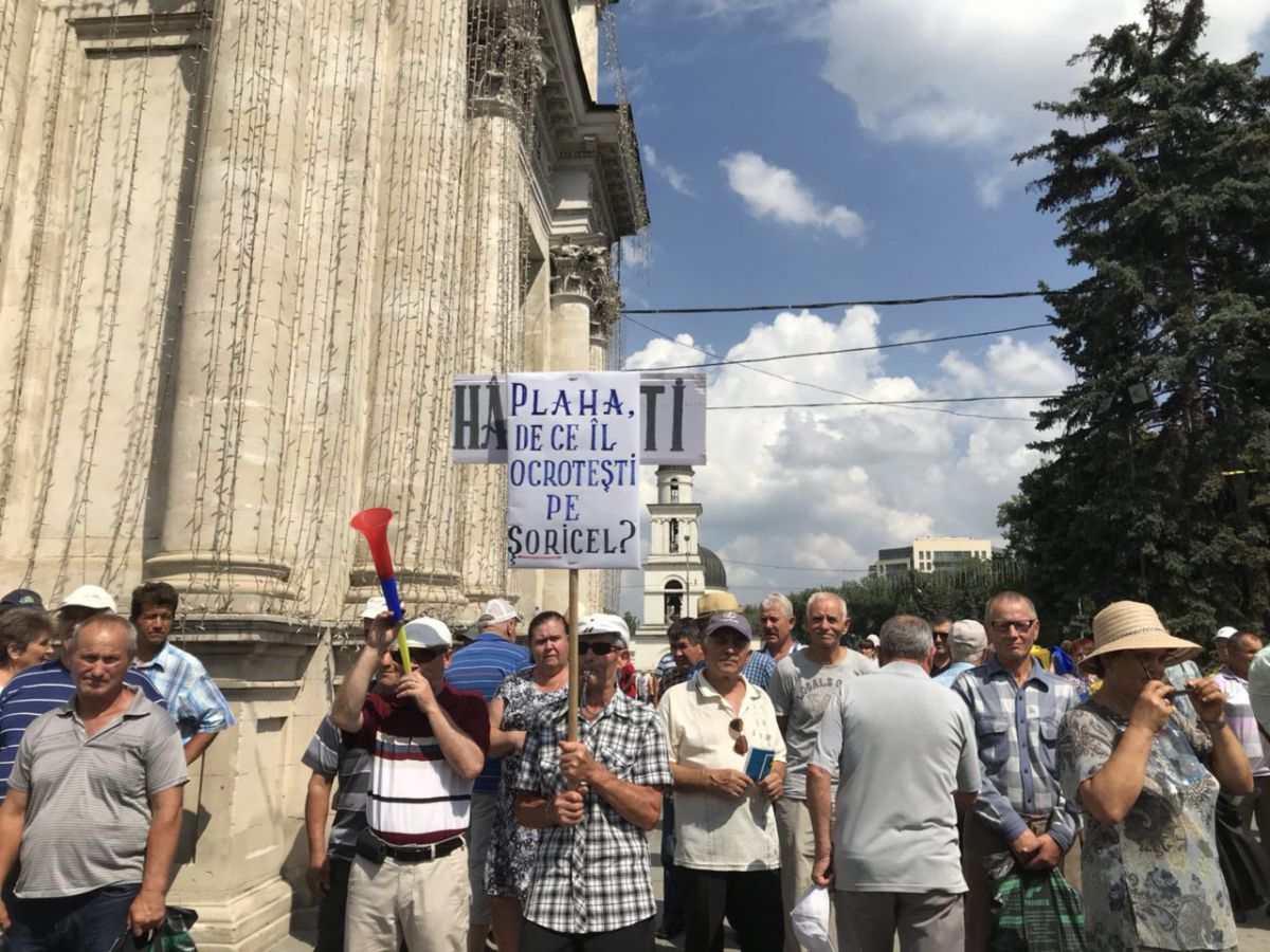 GALERIE FOTO. „Și Creangă a plătit pentru cireșele furate”. Pancartele protestului din 26 aprilie