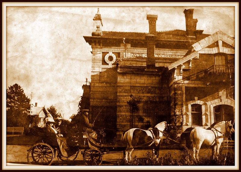 VIDEO. Conacul lui Pommer din parcul Țaul se află în stare avansată de ...