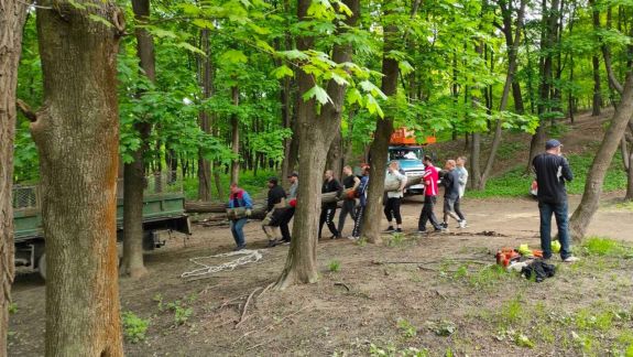 Cine a tăiat copacii? Un consilier PAS sesizează defrișări ilegale în parcul Valea Morilor. Reacția Primăriei Chișinău (FOTO)