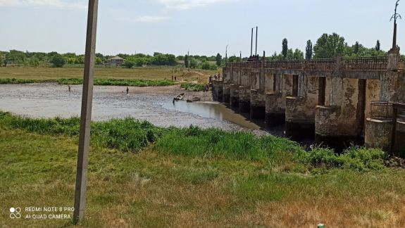 Dezastru ecologic pe râul Răut: Inspectoratul pentru Protecţia Mediului a depistat sute de pești morți, după ce fluxul de apă ar fi fost blocat intenționat 
