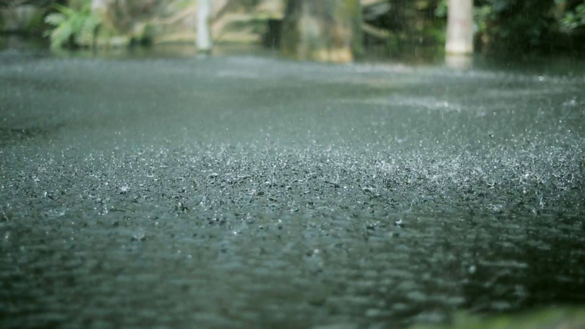 Капли дождя на дороге