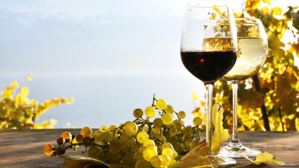 Excursii, degustări și eveniment special pentru personal. Află cum poți