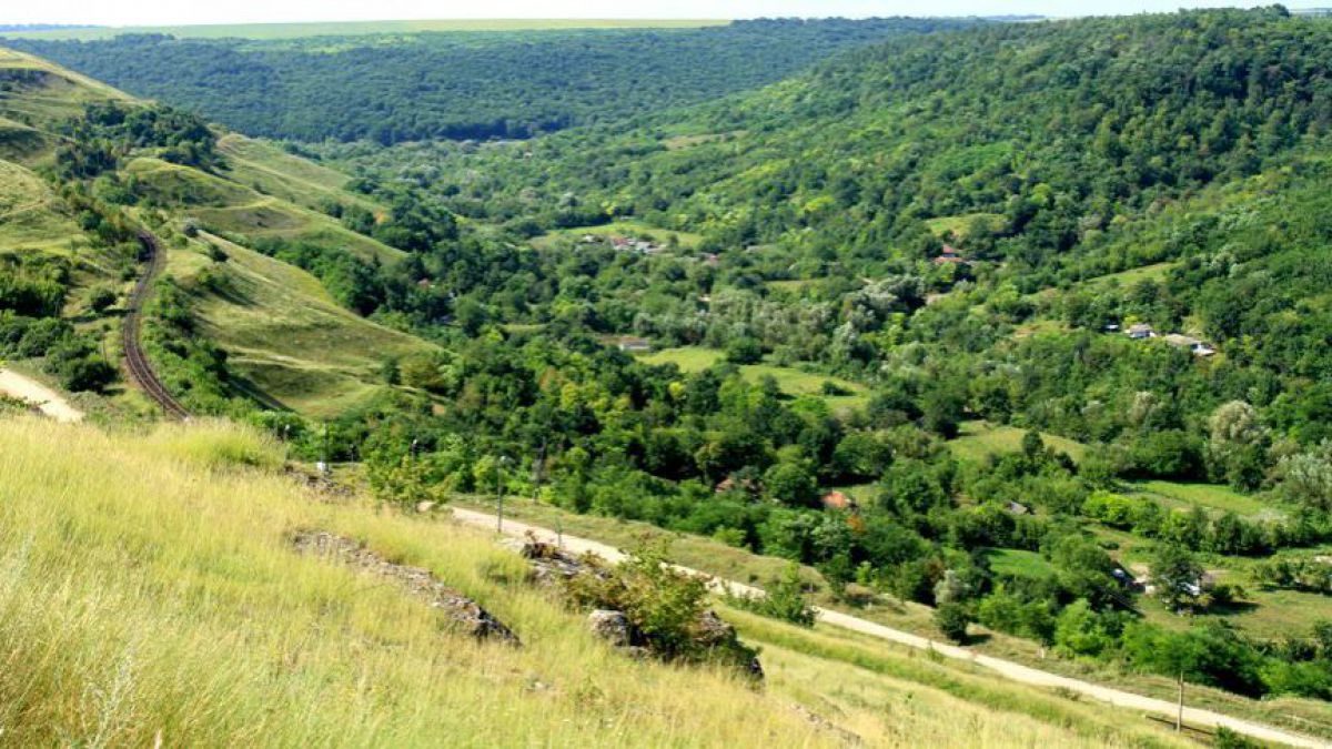 Сайт молдовы. Кодры Молдова. Лес Кодры в Молдове. Заповедник Кодры Молдова. Природный заповедник Кодры в Республике Молдова.