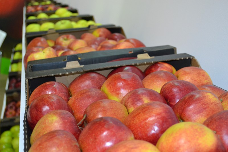 O nouă piață de desfacere pentru producătorii de fructe Ce