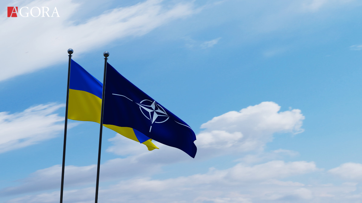Statele baltice susțin aderarea rapidă a Ucrainei la NATO
