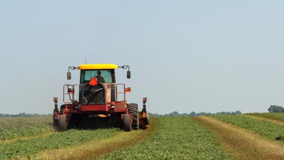 75 de milioane de lei pentru start-up-urile în agricultură. Subvențiile vor fi accesibile și în 2022