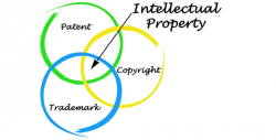 Înregistrarea mărcilor și a obiectelor de proprietate intelectuală în regim on-line