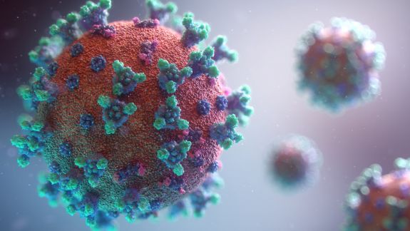 A fost confirmat primul caz de contaminare în Europa cu varianta sud-africană a coronavirusului