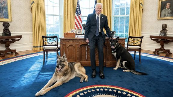 Câinii lui Joe Biden, dați afară de la Casa Albă. Major ar fi mușcat un membru al echipei de securitate