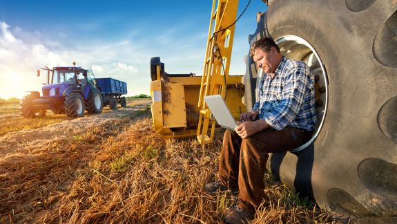 Creșterea producției de fructe și legume. Ce alte obiective are Programul de Dezvoltare a Horticulturii pentru anii 2021-2025