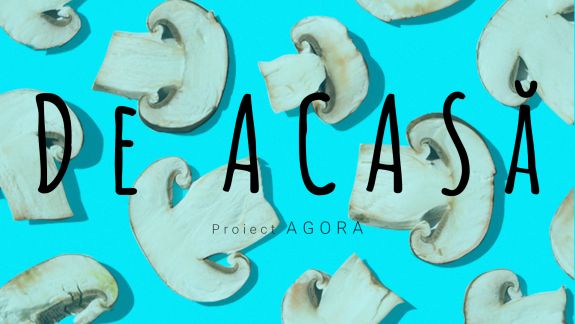DE ACASĂ: Victor Teslari cultivă ciuperci pleurotus într-o mină veche, la 100 metri sub pământ. Anul acesta va avea o roadă de circa șase tone (VIDEO)