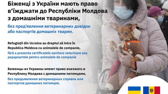 Cetățenii ucraineni pot intra în R. Moldova cu animalele de companie fără acte