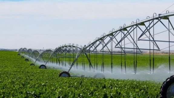 Fermierii își doresc un sistem centralizat de irigare. Ce spune ministrul Agriculturii