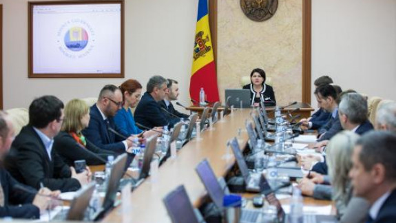 Guvernul a alocat un milion de lei pentru inițiativele tinerilor la nivel local