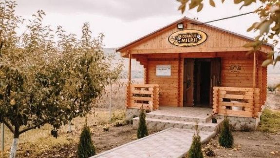 Hai în Codru la izvor sau gustă, bea și trăiește! Descoperă un nou itinerar plin de experiențe unice (FOTO)