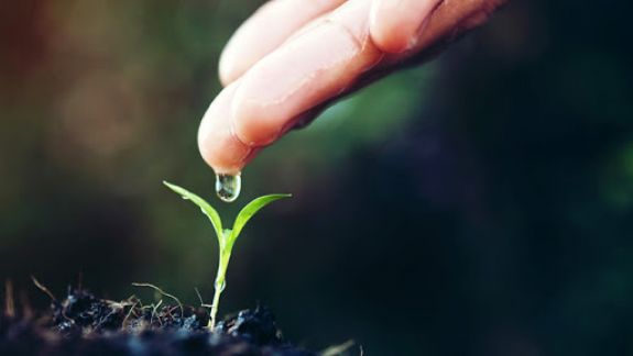 Ideile de afaceri ecologice, susținute de stat. A fost lansat Programul Național de Ecologizare a ÎMM-urilor