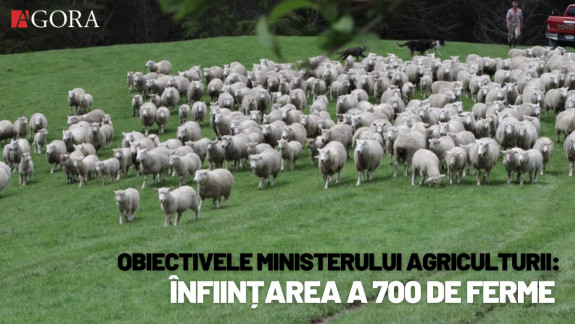 În R. Moldova ar putea fi înființate 700 de ferme de animale. Ce presupune Programul de Dezvoltare a Sectorului Zootehnic