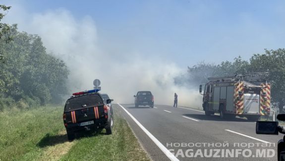 Incendiu de vegetație în sudul țării. Traficul rutier din apropierea municipiului Comrat a fost suspendat temporar