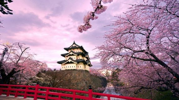 Japonia: Cea mai devreme înflorire a cireșilor, înregistrată în ultimii 1.200 de ani. La mijloc ar fi schimbările climatice