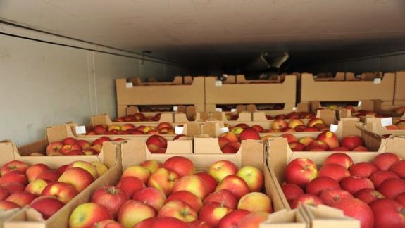 ANSA, despre lotul de mere, interzis pentru export în Rusia: Dăunătorul „molia orientală” nu este un organism de carantină fitosanitară